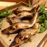 小熊 - 
