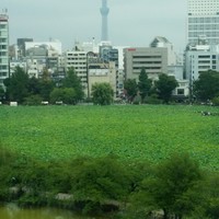 東天紅 上野店 - 