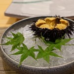 照寿司 - 朝獲れた下関の雲丹