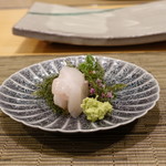 照寿司 - 五島のクエ
