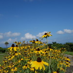 鎮西町国民宿舎 波戸岬 - 