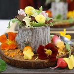 クレアバックス - 