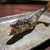 たでの葉 - 天然山女魚の塩焼き3