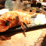 ろばた 翔 - 知床産キンキの塩焼き（みんなで取り分ける形）