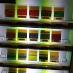 ラーメン 厚木家 - 馬券は 絶対に買えませんよ♪(*´∇｀*)(笑)