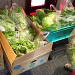 ラーメン 厚木家 - 今日は レタスと白菜がもらえました♪(*´∇｀*)(笑)  ここも 野菜畑ですねぇ♪(笑)ヾ(≧∀≦*)ﾉ〃