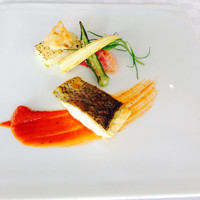 THE KOBECRUISE コンチェルト - 本日の鮮魚のブレゼ(スズキ) 夏野菜の焼きリゾット 完熟トマトと野菜のピュレ