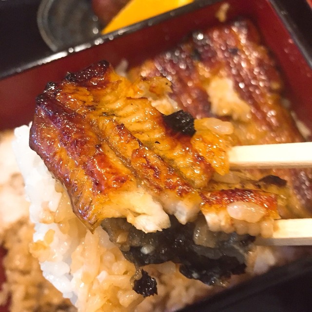 虎ノ門 うなぎのお宿>