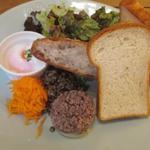 テーラ・テール - ア・モード・ミオ A Mode Mio