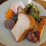 テーラ・テール - ア・モード・ミオ A Mode Mio