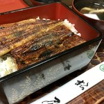 そば処　松屋 - うな重