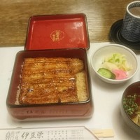 鰻割烹 伊豆栄 本店 - 