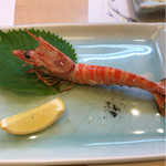 石松　阪奈店 - 