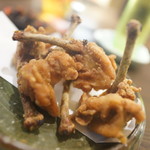 野武士 - チューリップ