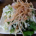 【2017.8.6(日)】揚げそばのサラダ300円