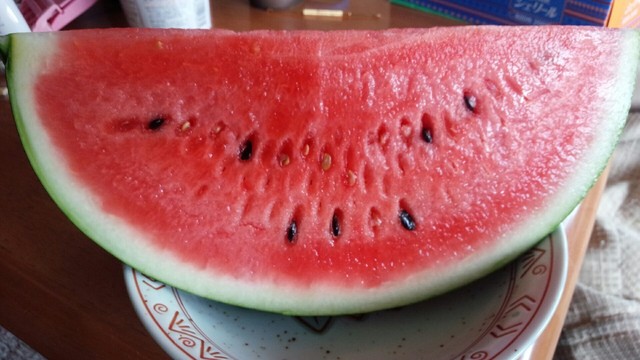 伊佐沢共同直売所 ふれあい市 &ndash; 南長井で季節野菜・山形特産品を直売