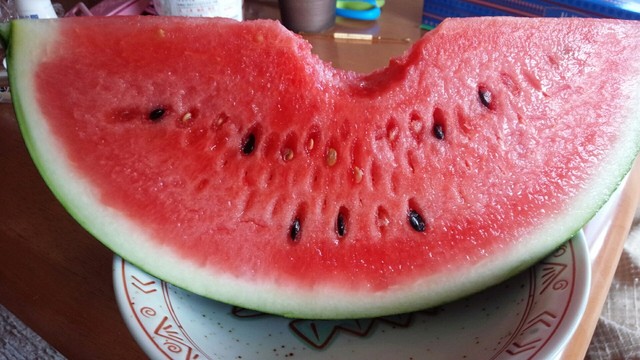 伊佐沢共同直売所 ふれあい市 - 南長井（その他）の写真