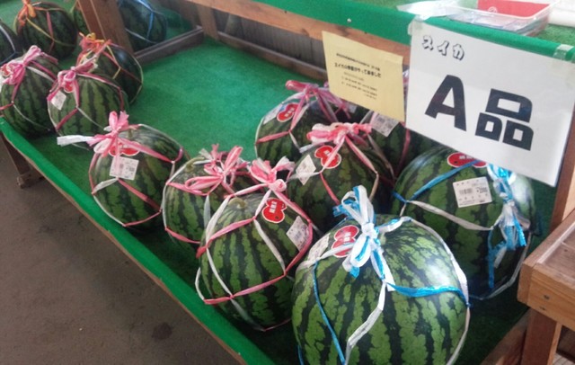 伊佐沢共同直売所 ふれあい市 - 南長井（その他）の写真