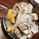 Oyster Bar ジャックポット - 