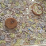 傳 - 29年8月　メニュー