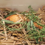 傳 - 29年8月　傳タッキー　インカの目覚め、鮪酒盗、ハーブ