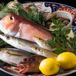 旬の鮮魚と魂の煮込み 照 - 