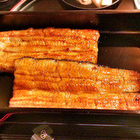 うなぎ秋本 - 共水うなぎ重