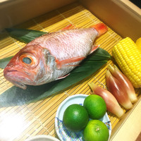 のどぐろ専門 銀座 中俣 - 