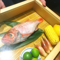 のどぐろ専門 銀座 中俣 - 