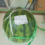 農産物直売所 こだま館 - うまそう