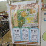 農産物直売所 こだま館 - 豊水を買いにこよう