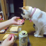 本庄鮮魚センター - マグロをどうぞ