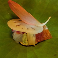 菊乃井 本店 - 鯛と太刀魚