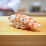 鮨 あらい - 2017/7_車海老