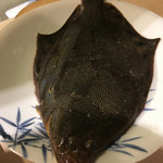 味あら井 - 星鰈  なんと大分市鶴崎沖で捕れたもの