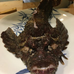 味あら井 - 虎魚くん。いい顔してるね