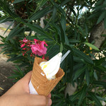 牧場のソフト - 