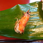 Yayoi Zushi - 