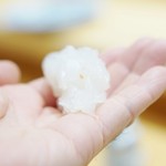 小松 弥助 - 胡麻、塩、赤イカ握り