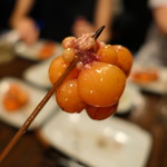 鳥みつ - ちょうちんリフトアップ