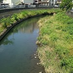 自家製麺 KANARI - 駅前の帷子川