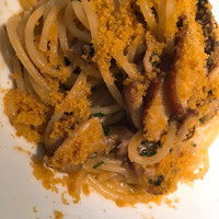 ecco - 