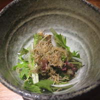 魚匠 銀平 道頓堀店 - 水菜とサニーレタスのサラダ