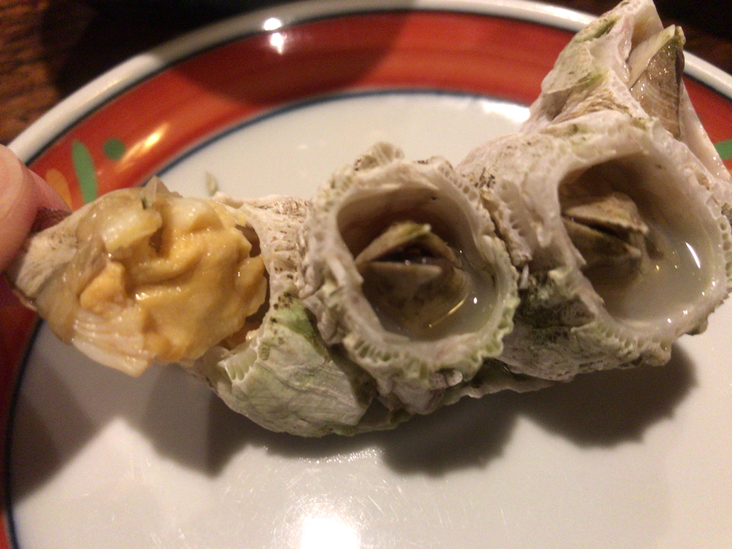 南部民芸料理 蔵 name=