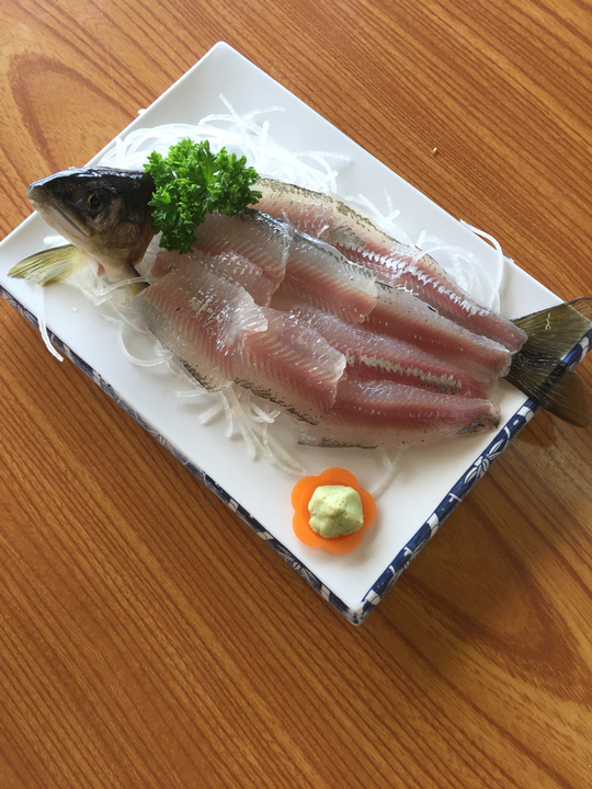 黒羽観光やな name=