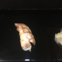 金寿司 - 
