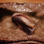 橋本屋 鮨八 - こはだ