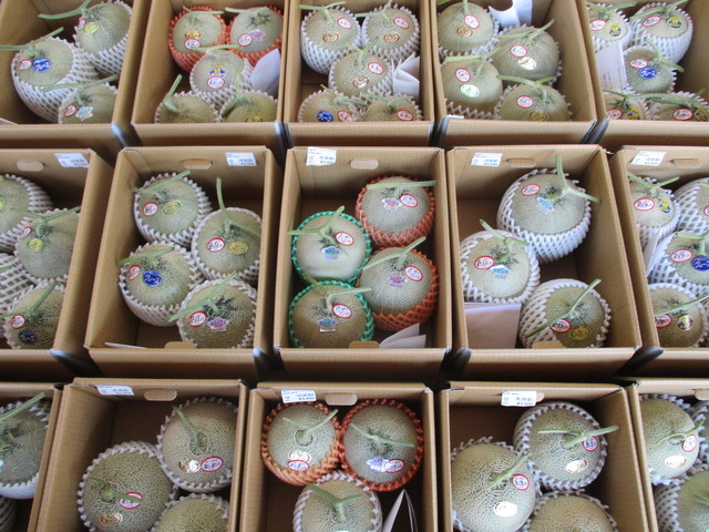 ドラゴンフレッシュセンター - 能代市その他（その他）の写真