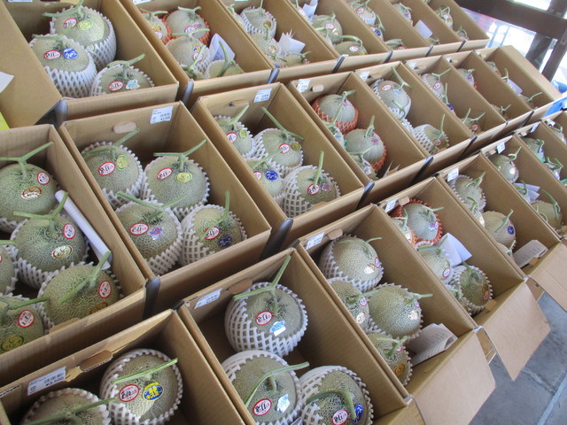 ドラゴンフレッシュセンター - 能代市その他（その他）の写真