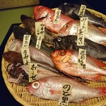 Maruhei - 